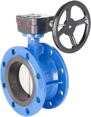 Butterfly valve, valves and fittings from Iron Republic PH