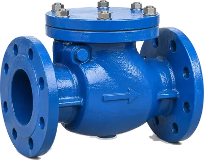 Check valve, valves from Iron Republic PH