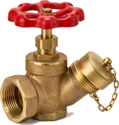 Fire hose gate valve, valves from Iron Republic PH