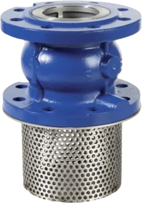 Foot valve, valves and fittings from Iron Republic PH